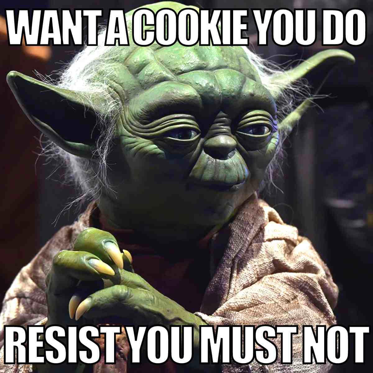 want a cookie meme want a cookie meme