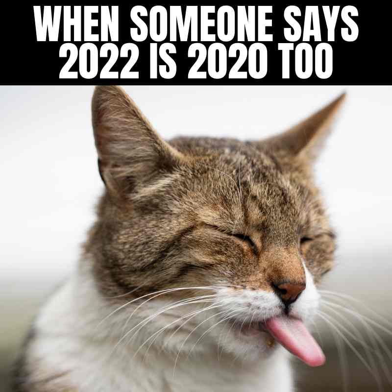 2022 meme funny 2022 meme funny