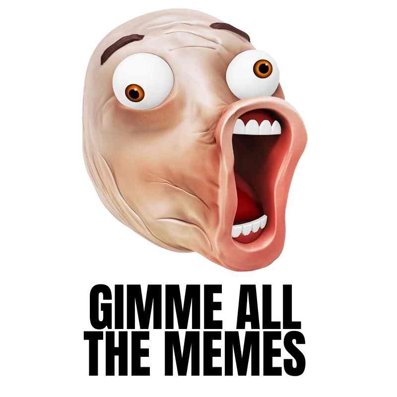 2022 memes 2022 memes