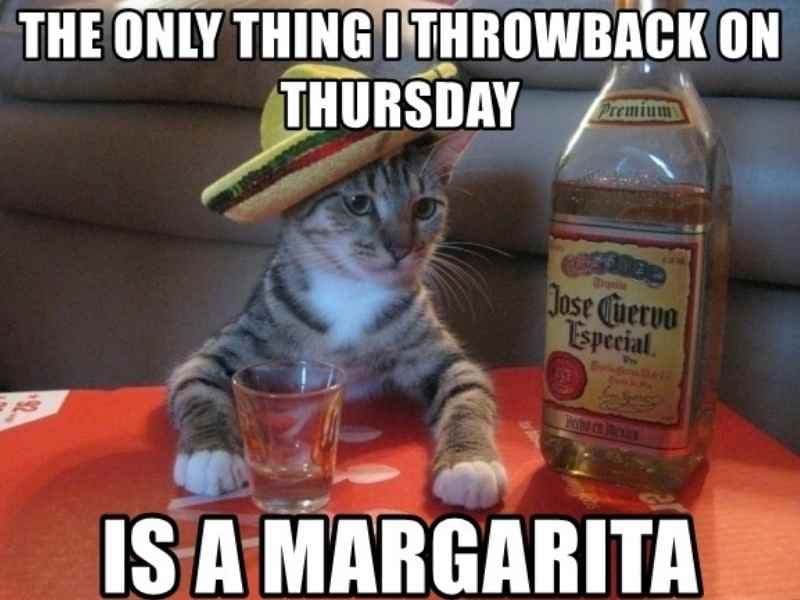 Thursday margarita meme throwback Meme featuring a cat wearing a sombrero, sitting beside a tequila bottle and a shot glass on a table, with text saying 'The only thing I throwback on Thursday is a margarita.'