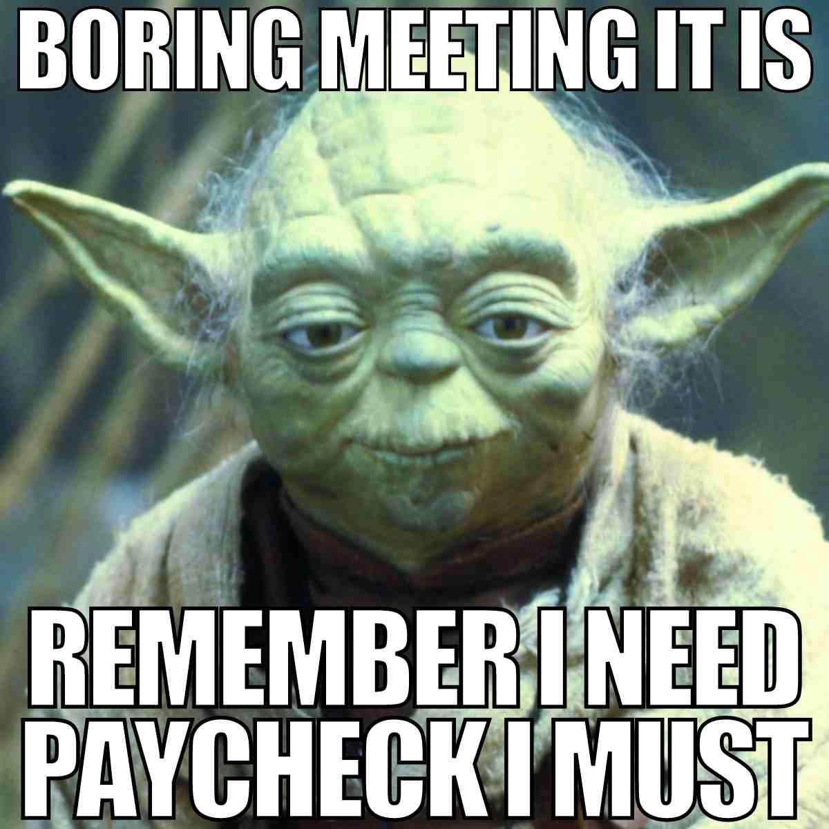 boring meeting meme Star Wars character realizing boring meetings are necessary for a paycheck, with text: 'Boring meeting it is, remember I need paycheck I must.'