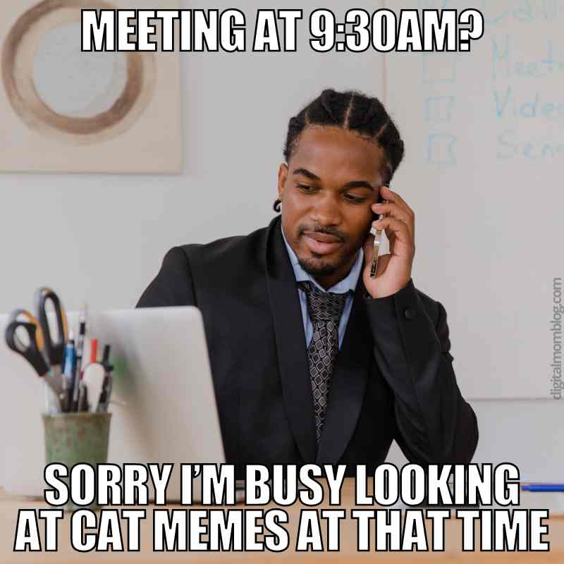 cat memes meeting Meme of a man in a suit looking at his laptop while on a phone call, with text saying 'Meeting at 9:30AM? Sorry I'm busy looking at cat memes at that time.' Humorous take on prioritizing cat memes over meetings.