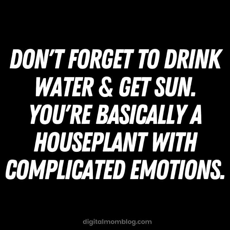 complicated house plant meme complicated house plant meme