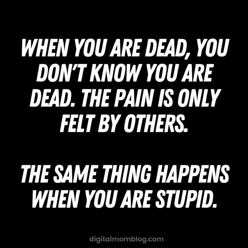 dead stupid meme relatable quote dead stupid meme relatable quote