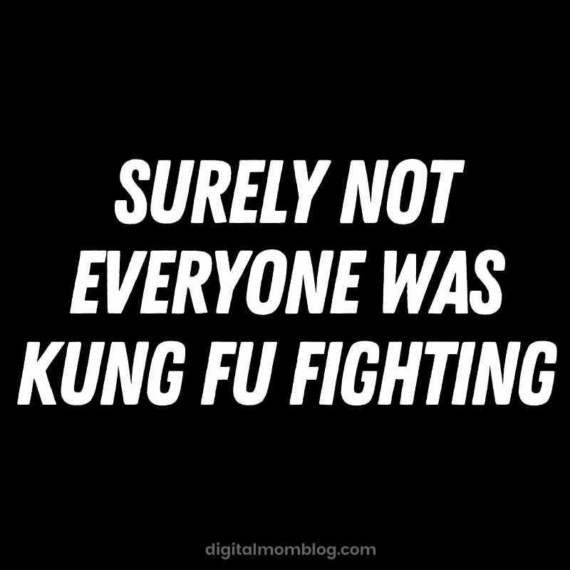 everyone was kung fu fighting meme everyone was kung fu fighting meme