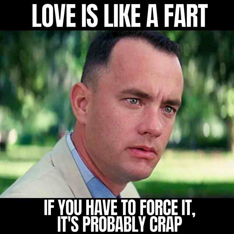 forest gump love is like a fart meme forest gump love is like a fart meme