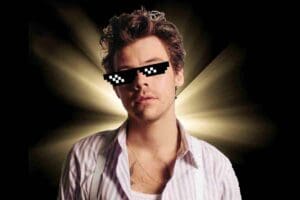 harry styles memes image