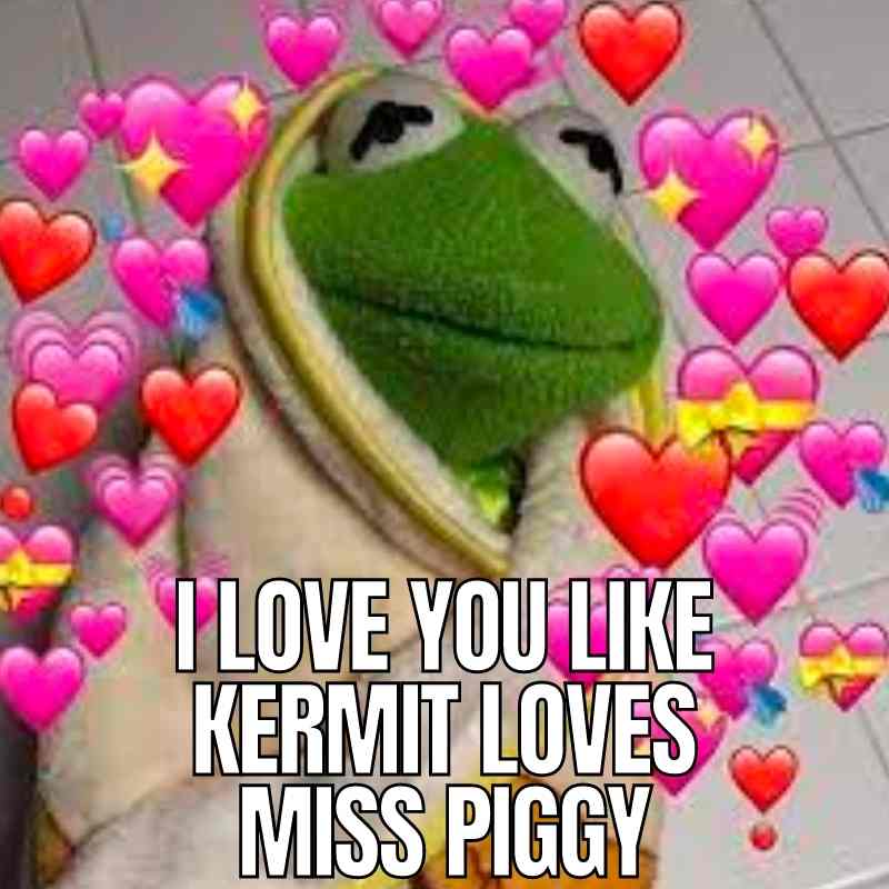 kermit love meme kermit love meme