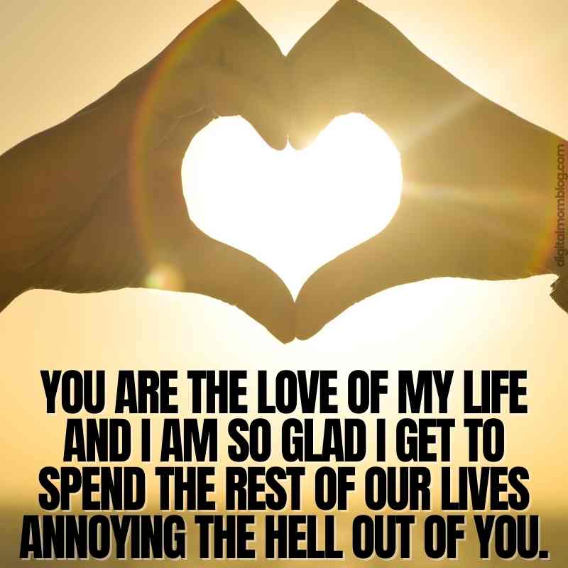 love of my life meme love of my life meme