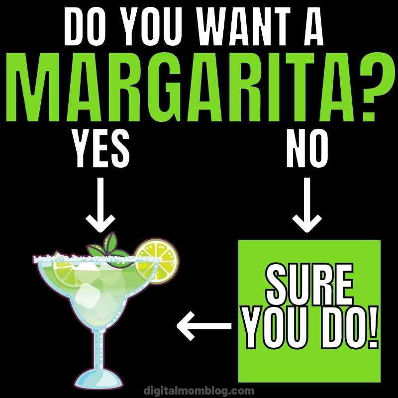 margarita flow chart Meme asking 'Do you want a margarita?' with options 'Yes' and 'No' leading to a glass of margarita and 'Sure you do!' respectively.