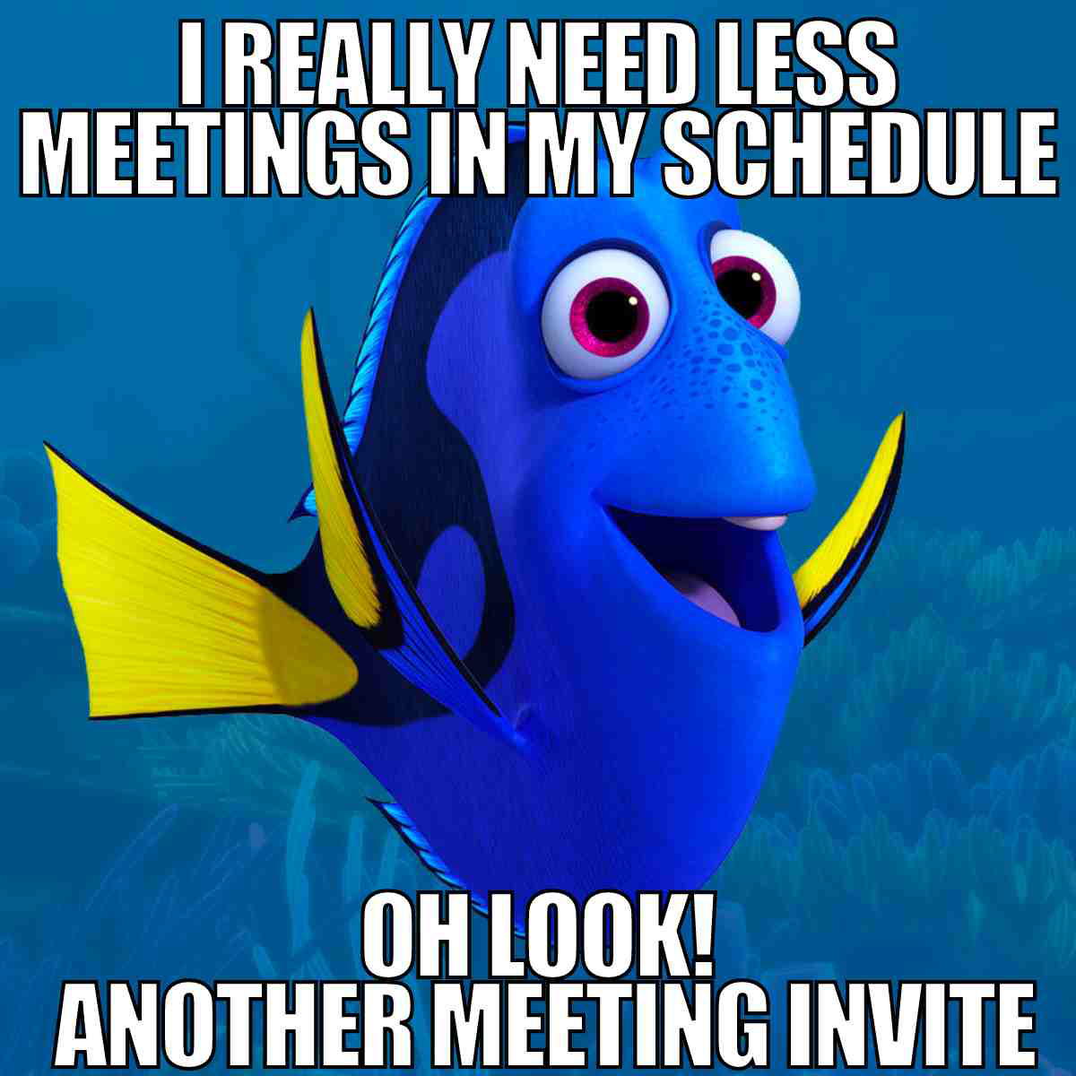 meetings meme Meme featuring a famous cartoon fish with the caption, 'I really need less meetings in my schedule... Oh look! Another meeting invite,' humorously expressing frustration with too many meetings.