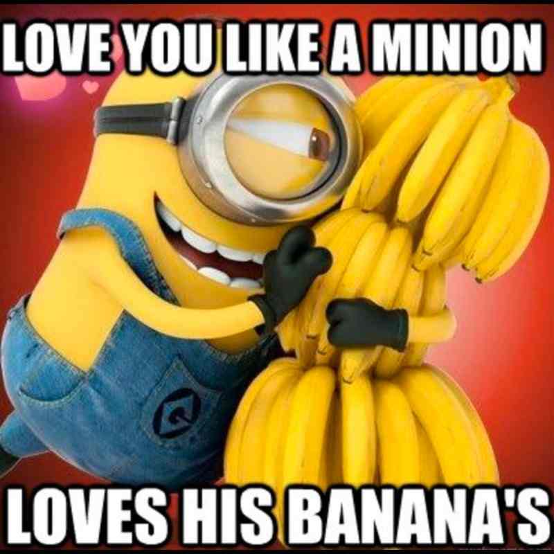 minion love meme for they Meme of a Minion gleefully hugging a massive bunch of bananas with the caption, 'Love you like a Minion loves his bananas.' Perfect blend of Minion obsession and heartfelt humor.