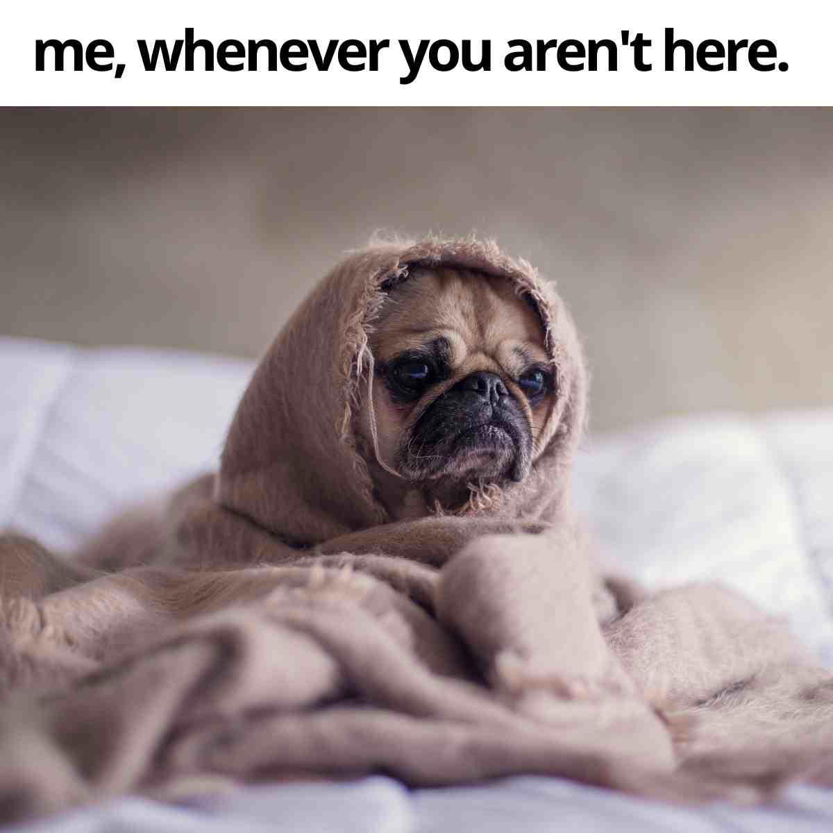 romantic meme romantic meme me whenever you aren't here.