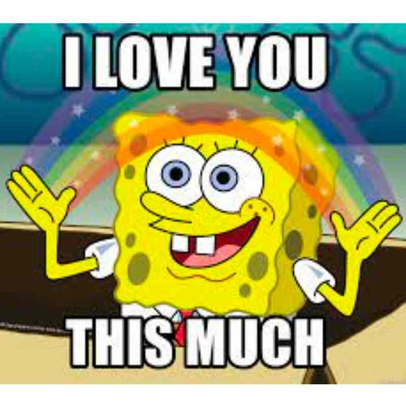 sponge bob i love you meme sponge bob i love you meme