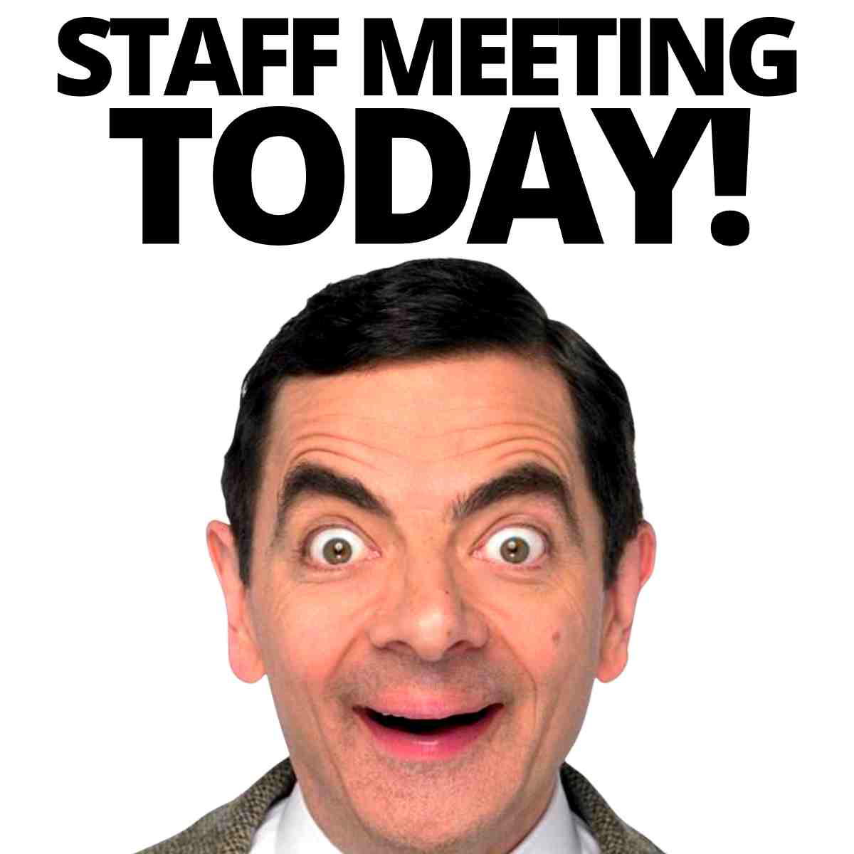 staff meeting memes Meme featuring a character with a surprised expression, captioned "STAFF MEETING TODAY!" likely summoning a mix of excitement and dread associated with meetings.