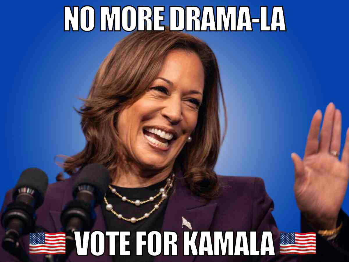 vote for kamala harris meme Humorous meme encouraging a vote for Kamala Harris in the upcoming presidential election.