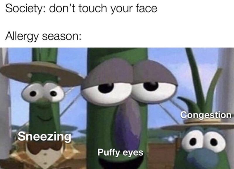allergy meme funny Meme comparing societal advice 'don’t touch your face' with allergy season featuring tired, puffyeyed cartoon vegetables labeled sneezing and congestion.