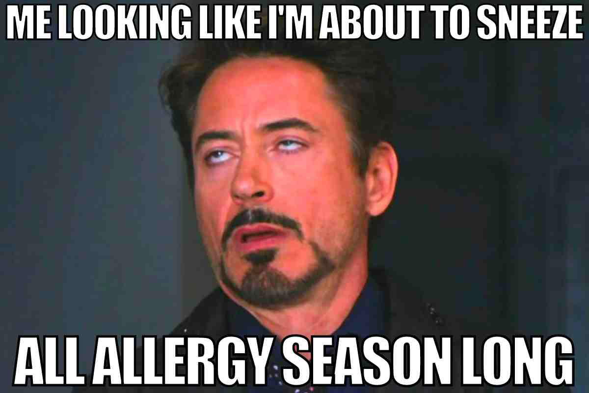 allergy season meme Funny allergy meme with a person rolling their eyes, looking exhausted, with text saying 'Me looking like I'm about to sneeze all allergy season long.'