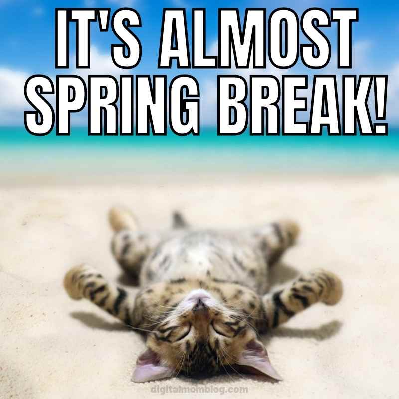 almost spring break meme Hilarious spring Break meme featuring a relaxed cat lying belly-up on a sandy beach with the caption 'It's Almost Spring Break!' capturing the laid-back vibe of the season.