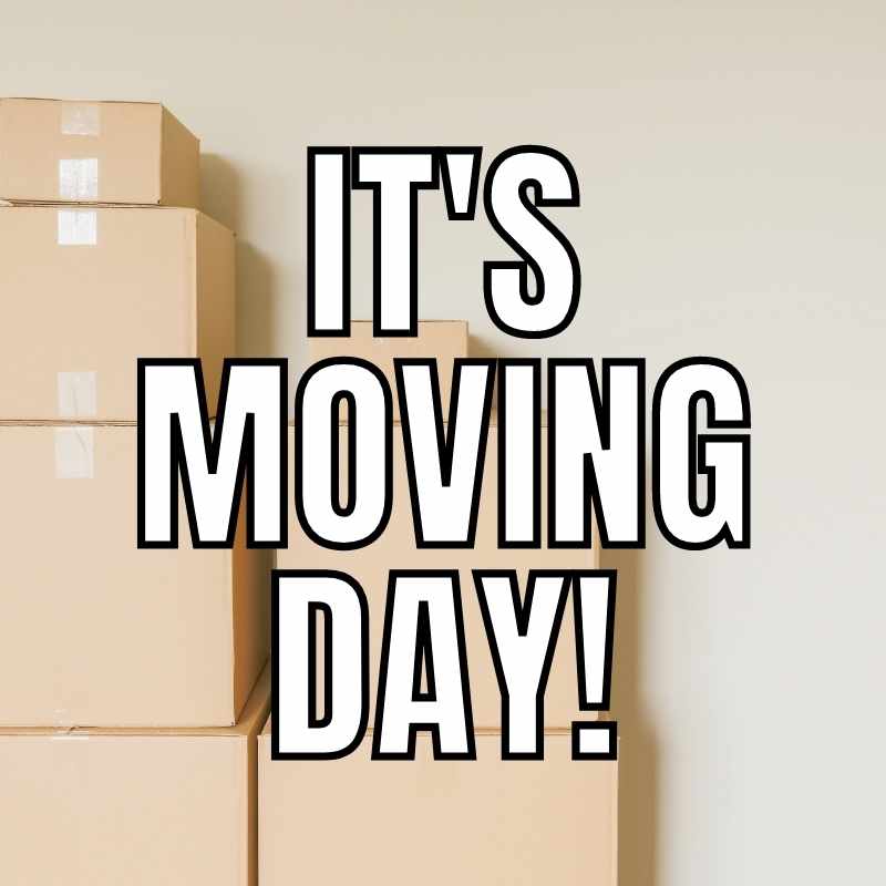 excited moving day meme A stack of cardboard boxes with the words "It's Moving Day!" in bold letters, humorously indicating the inevitable chaos of relocation, as seen in this meme.