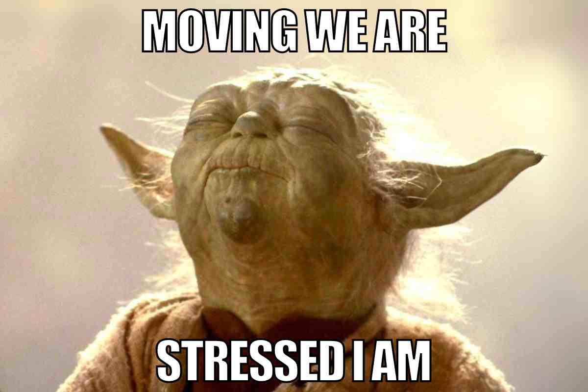 funny moving meme Meme featuring a wise green character blissfully closing his eyes with text: 'MOVING WE ARE, STRESSED I AM,' humorously capturing the turmoil of moving homes.