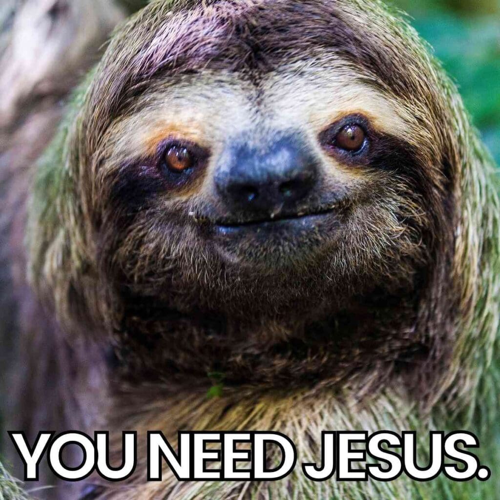 funny you need jesus meme Sloth meme with the text 'You Need Jesus,' humorously suggesting divine intervention for laziness.