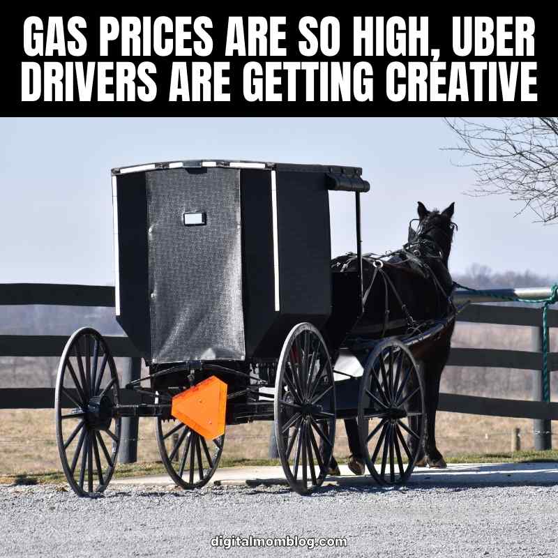 gas uber meme gas uber meme