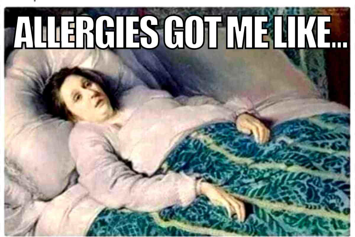 got me allergies meme allergies got me like...