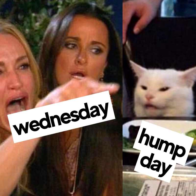 hump day vs wednesday meme hump day vs wednesday meme