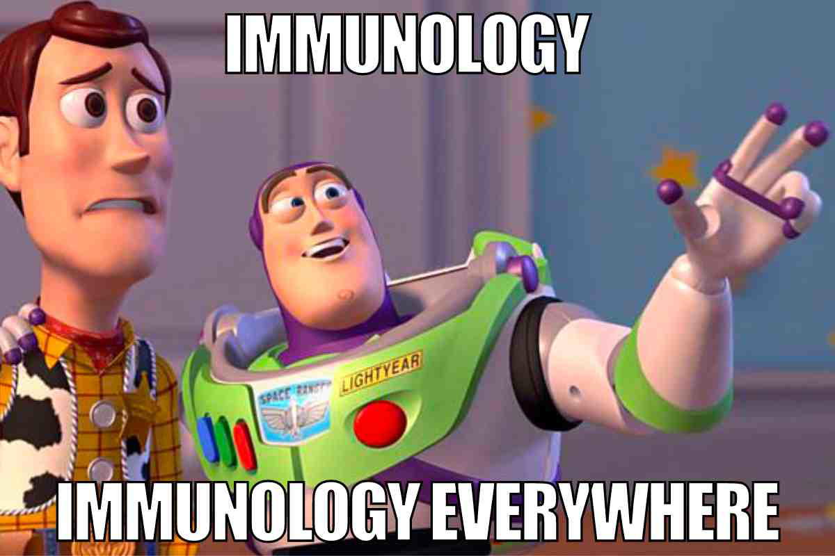 immunology meme immunology meme