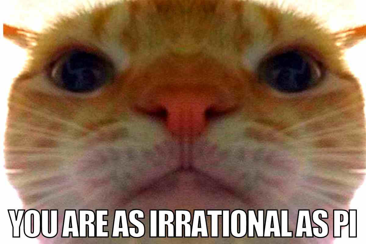 irrational meme irrational meme