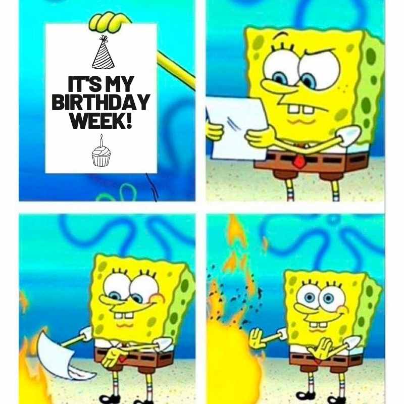 its my birthday week meme SpongeBob holding a sign that says 'It's My Birthday Week,' then dramatically sets the paper on fire, capturing the chaotic excitement of someone obsessed with birthday celebrations. Birthday meme humor at its finest.