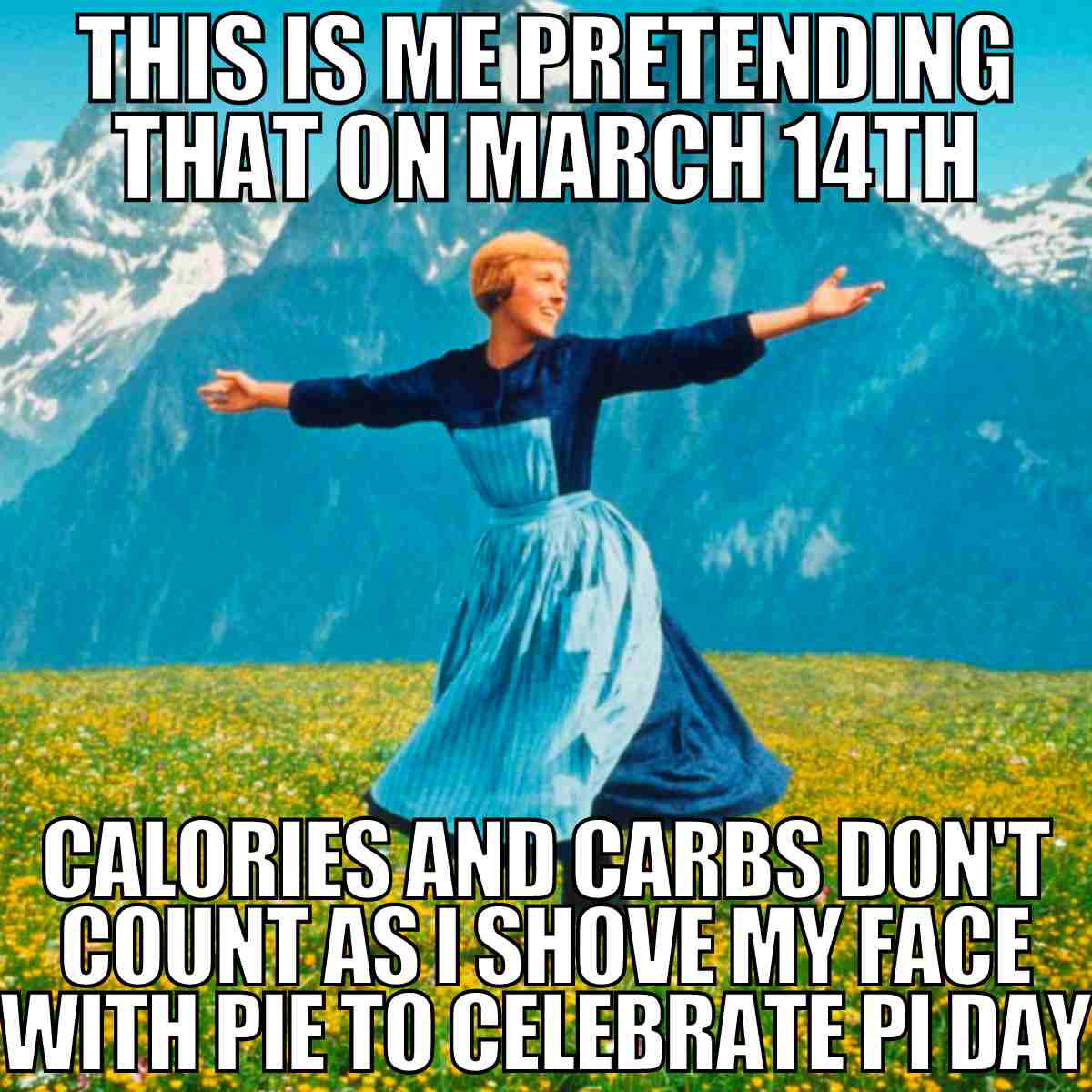 march 14 meme pi day Meme with a person joyfully spinning in a field, referencing March 14th, Pi Day indulgence with text celebrating caloriefree pie fantasies.