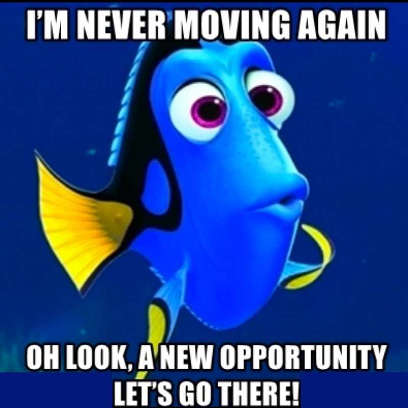 moving again meme Meme of a blue fish declaring, 'I'm never moving again,' but in true whimsical fashion, immediately follows with, 'Oh look, a new opportunity, let's go there!' capturing the essence of impulsive decision-making.