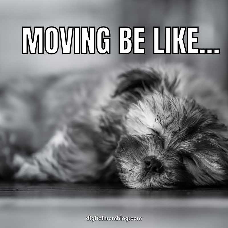 moving away meme Meme of an adorable puppy sleeping deeply, capturing the exhaustion of moving, with the text "MOVING BE LIKE..." to humorously illustrate the feeling of being utterly worn out after hauling boxes all day.