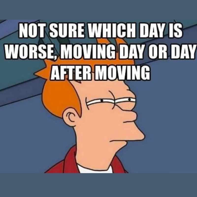 moving day funny meme Meme featuring a cartoon character squinting, with the text 'Not sure which day is worse, moving day or day after moving,' capturing the universal struggle of relocation.