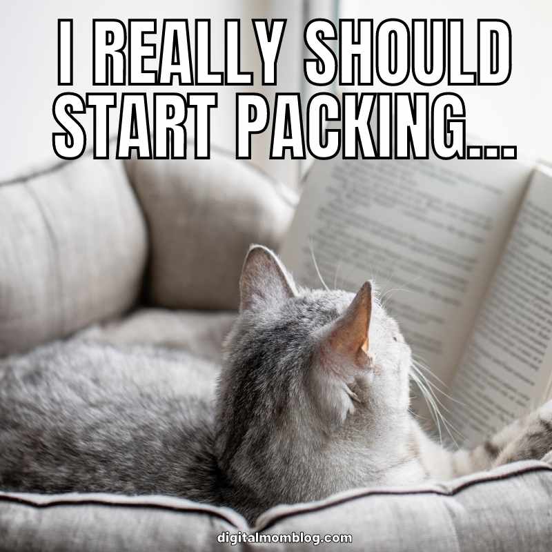 moving house stress meme Meme of a cat lounging on a cozy chair, engrossed in a book, with text above saying, 'I REALLY SHOULD START PACKING...', humorously suggesting procrastination before a trip.