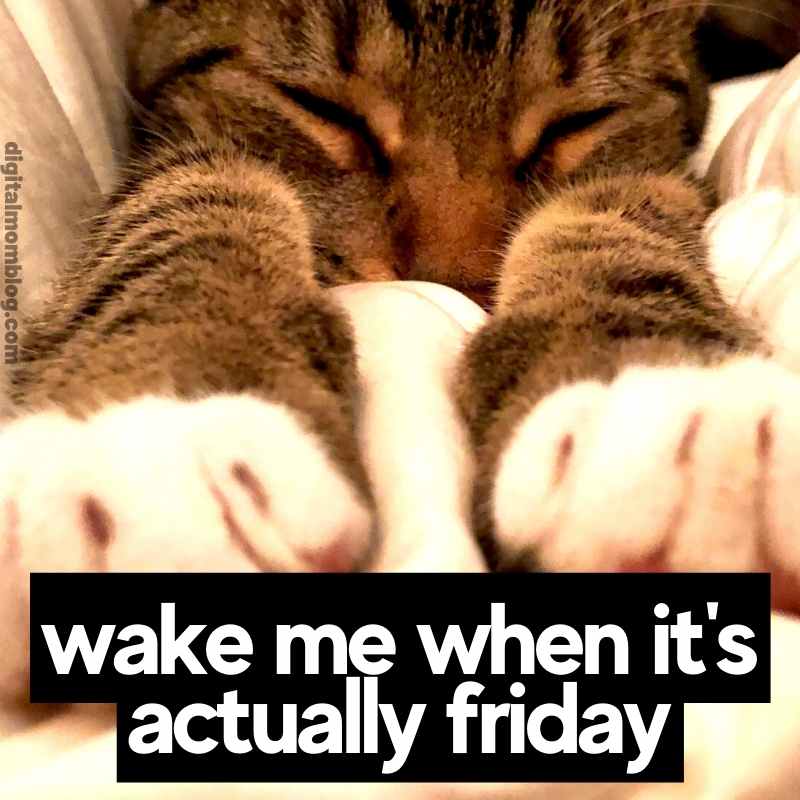 not actually friday meme A sleepy cat sprawled out with its paws extended, capturing the mood perfectly under the text: 'Wake me when it’s actually Friday.' This feline knows the weekly struggle, making you wish you could nap straight to the weekend. If only coffee worked like catnaps!