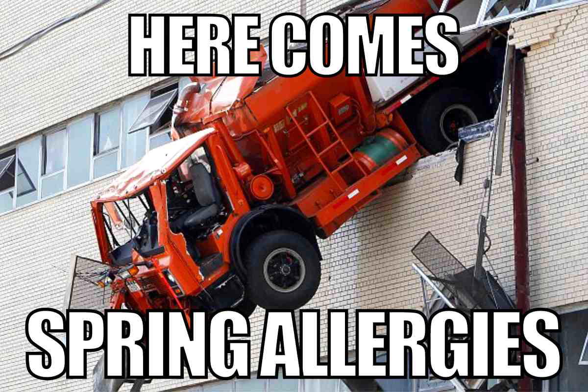 spring allergies meme Meme showing a truck crashing into a building with the text 'Here Comes Spring Allergies,' humorously depicting the chaos spring allergies can bring.