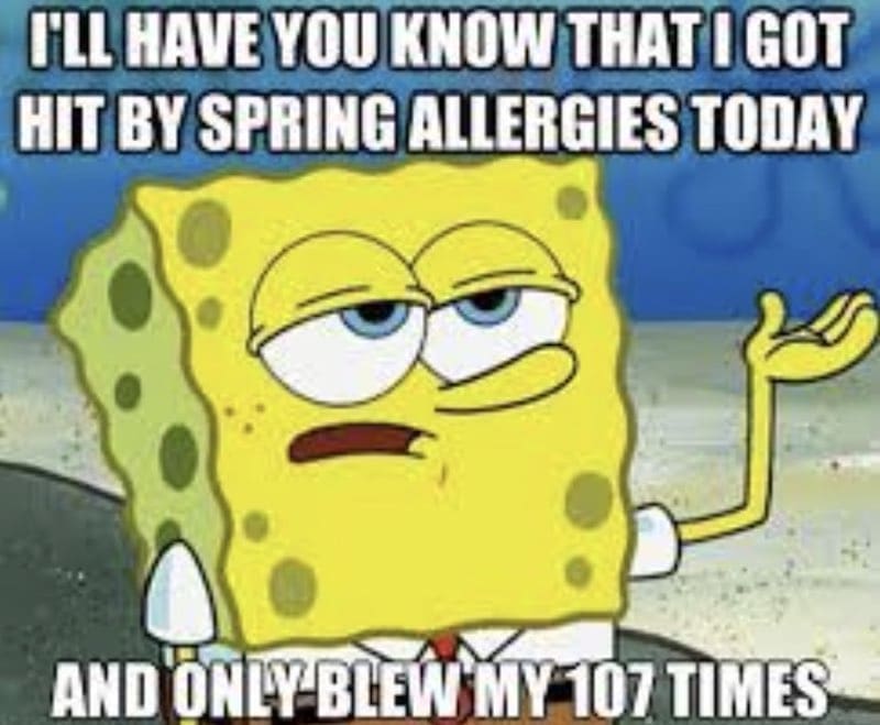 spring allergies meme Meme showing a cartoon character with a tired expression, saying they've been hit by spring allergies and have blown their nose 107 times, capturing the seasonal struggle humorously.