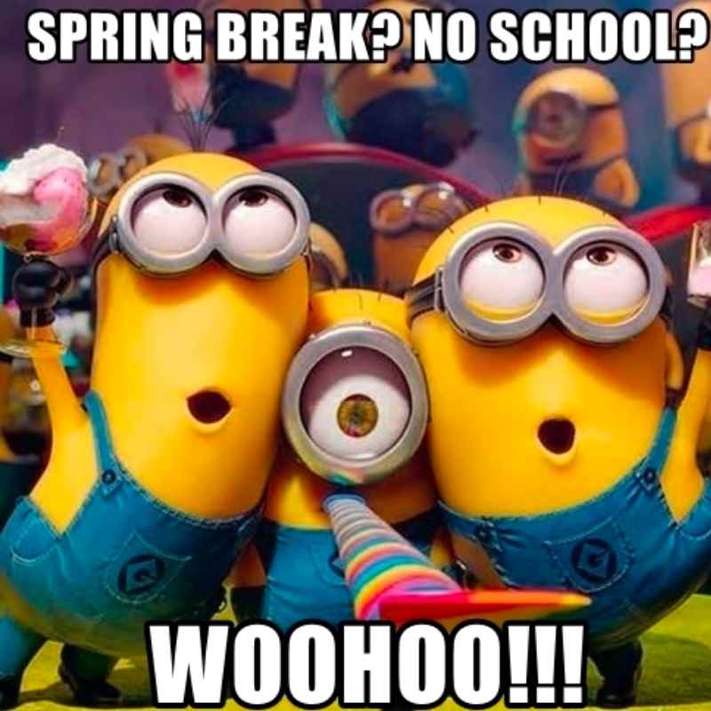 spring break meme for students Excited Minions celebrating spring break with the caption 'Spring Break? No School? WOOHOO!!!' in a cheerful meme.