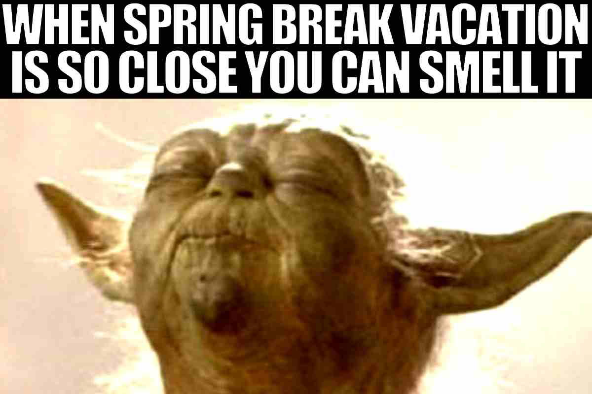 spring break vacation meme A meme featuring Yoda with closed eyes and a blissful expression, captioned "When spring break vacation is so close you can smell it," humorously capturing the anticipation of a holiday break.