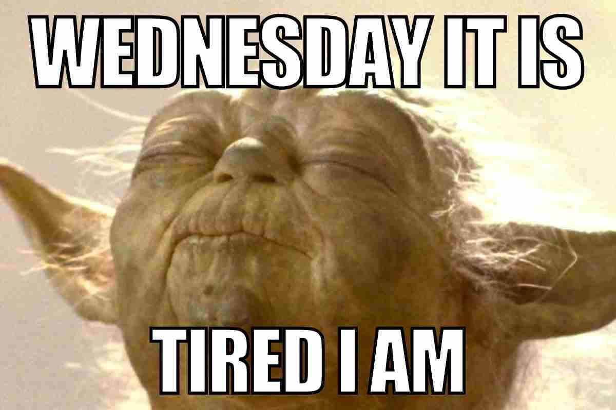 wednesday yoda meme wednesday yoda meme