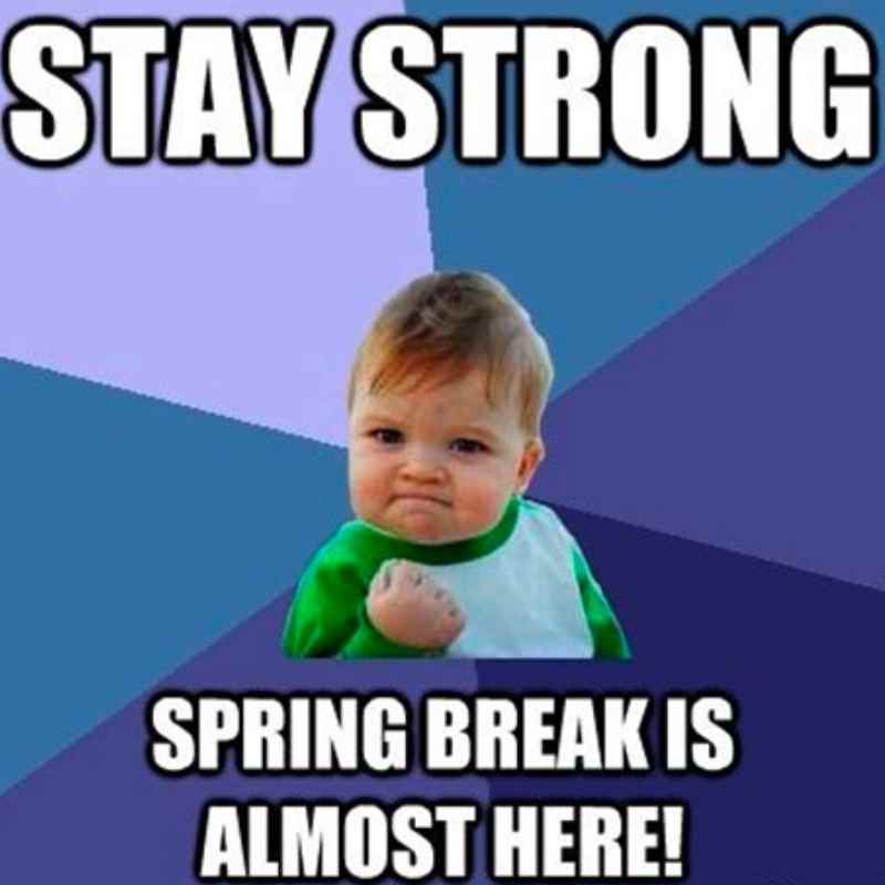 week before spring break meme Success kid meme with a determined baby and the text "Stay Strong, Spring Break is Almost Here!" hinting at the anticipation of spring break festivities.