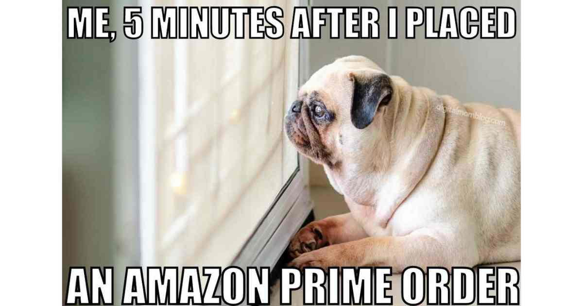 amazon memes funny amazon memes funny