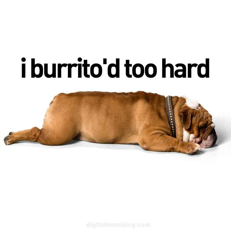 burrito meme funny burrito meme funny
