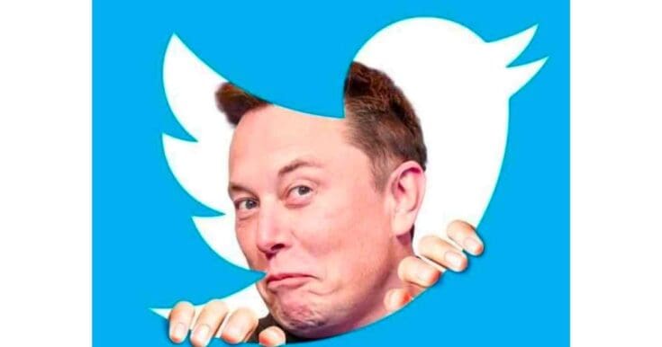 elon musk twitter memes funny