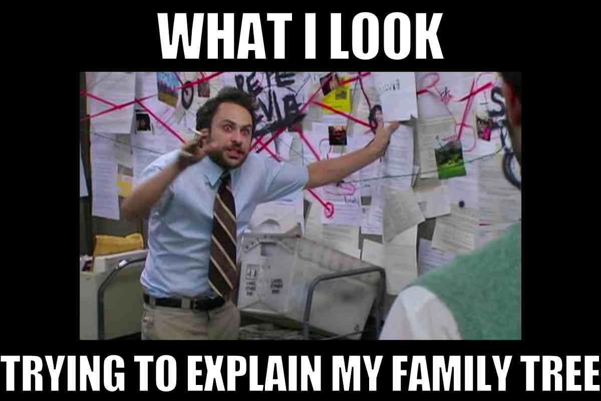 family tree meme what i look like trying to explain my family tree