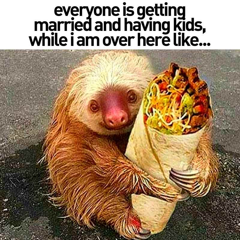 funny burrito meme funny burrito meme