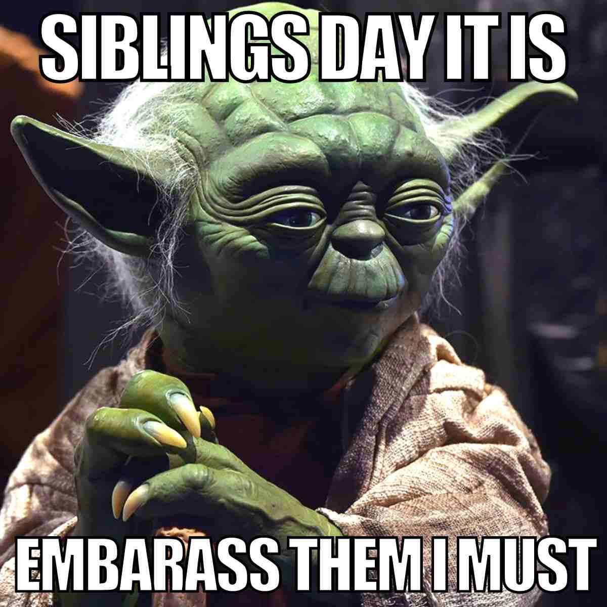 funny siblings day meme Yoda with a mischievous grin, captioned 'Siblings Day it is, embarrass them I must,' perfectly capturing the essence of sibling dynamics where the Force is strong in teasing—a reminder that embarrassing siblings is practically a Jedi tradition!